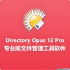 Directory Opus Pro 12.31中文版-工具软件