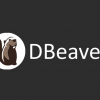 DBeaver Ultimate 23.0中文旗舰版-数据库管理工具
